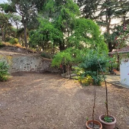 דירה Stylish With Wonderful Sea View And Garden