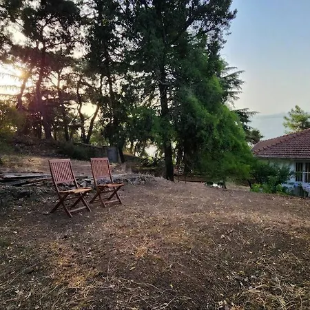 דירה Stylish With Wonderful Sea View And Garden *